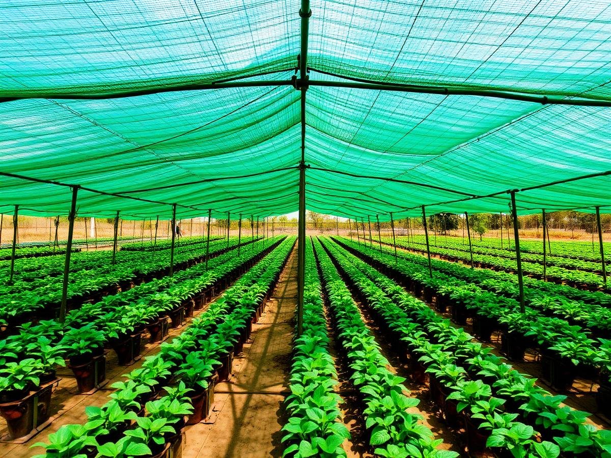Agriculture Shade Net